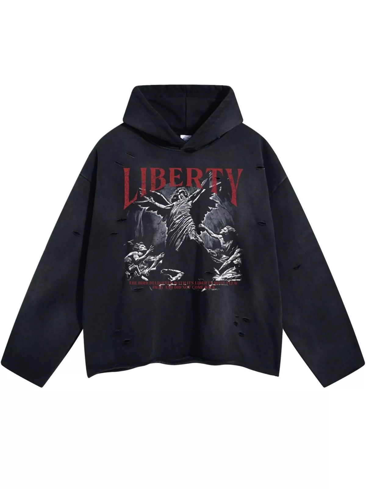 Men's Graphic Long Sleeve Hoodie - DCDesigns mens casual hoodie product view